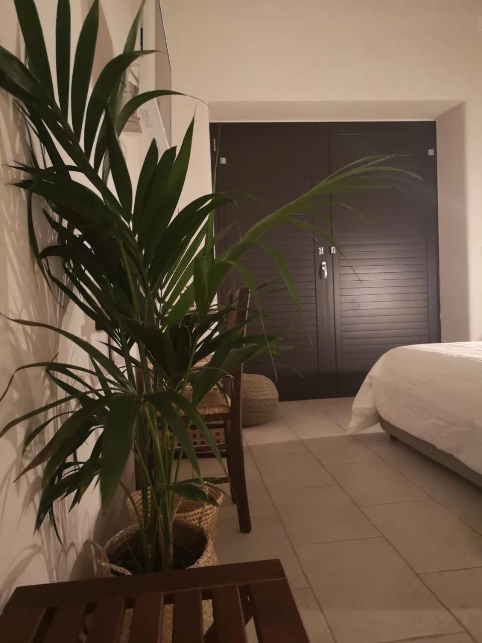B&B Villa Rosalia Прочида Экстерьер фото