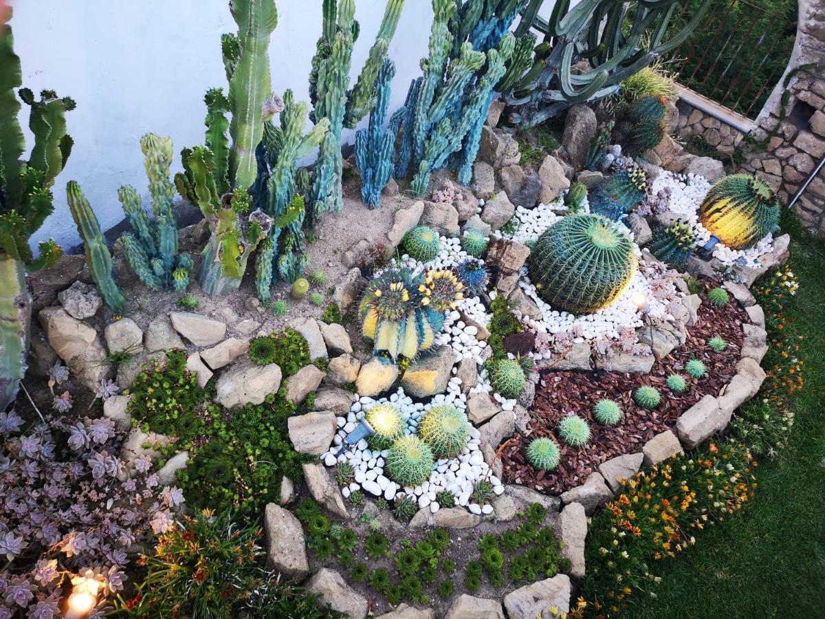 B&B Villa Rosalia Прочида Экстерьер фото